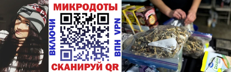 Псилоцибиновые грибы MAGIC MUSHROOMS  даркнет сайт  Лахденпохья 