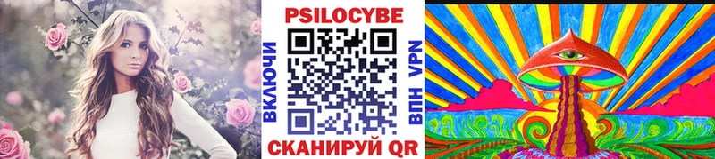 Псилоцибиновые грибы мицелий Лахденпохья